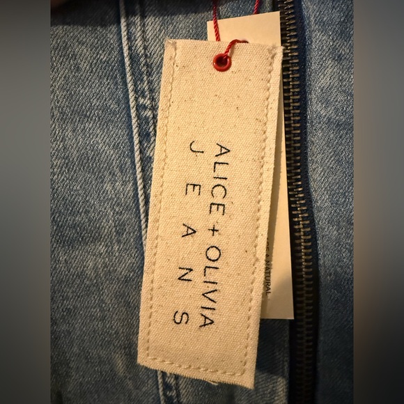 Alice + Olivia Palmer Denim Mini Dress in Rocky Blues - Picture 9 of 11